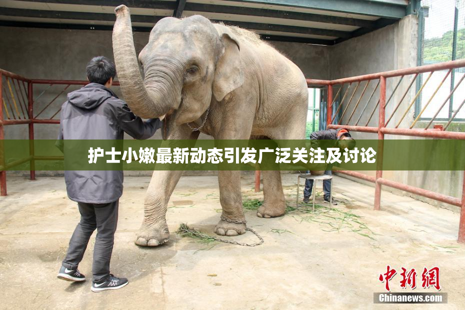 护士小嫩最新动态引发广泛关注及讨论