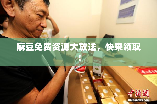 麻豆免费资源大放送，快来领取！