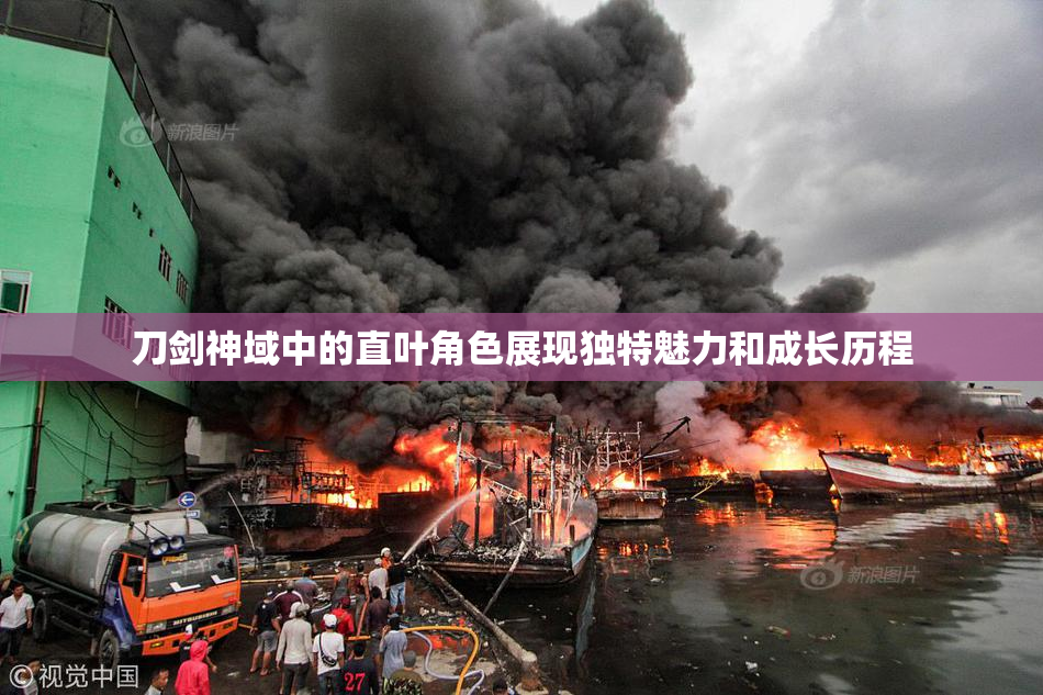 刀剑神域中的直叶角色展现独特魅力和成长历程