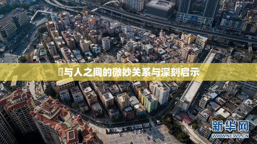 嘼与人之间的微妙关系与深刻启示