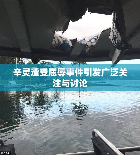 辛灵遭受屈辱事件引发广泛关注与讨论