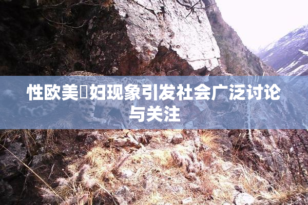 性欧美婬妇现象引发社会广泛讨论与关注