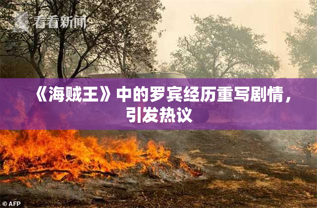 《海贼王》中的罗宾经历重写剧情，引发热议