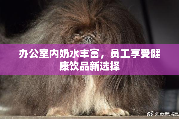 办公室内奶水丰富，员工享受健康饮品新选择