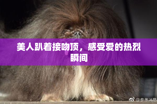 美人趴着接吻顶，感受爱的热烈瞬间