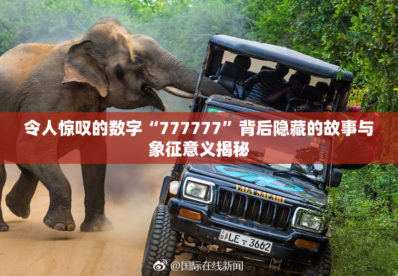 令人惊叹的数字“777777”背后隐藏的故事与象征意义揭秘
