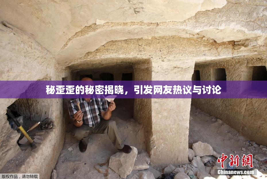 秘歪歪的秘密揭晓，引发网友热议与讨论
