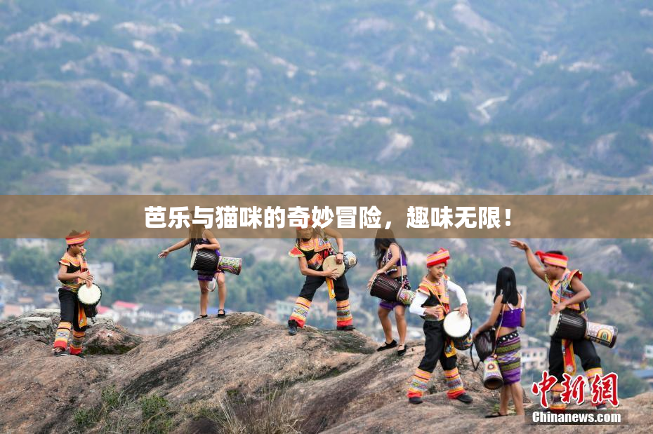 芭乐与猫咪的奇妙冒险，趣味无限！