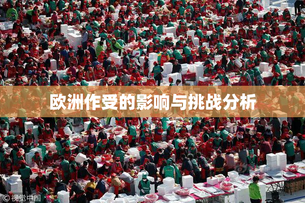 欧洲作受的影响与挑战分析