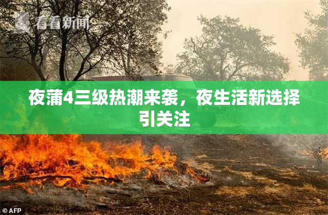 夜蒲4三级热潮来袭，夜生活新选择引关注