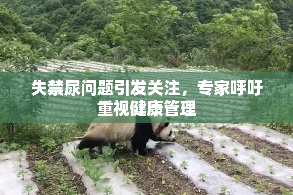 失禁尿问题引发关注，专家呼吁重视健康管理