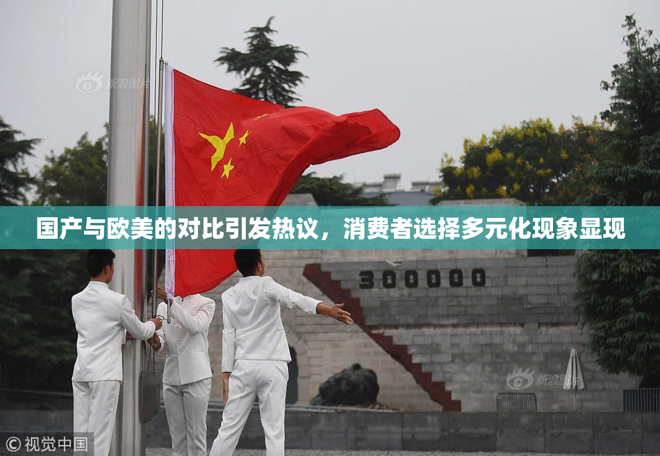 国产与欧美的对比引发热议，消费者选择多元化现象显现