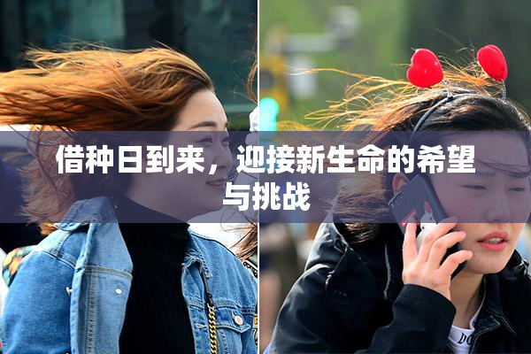 借种日到来，迎接新生命的希望与挑战