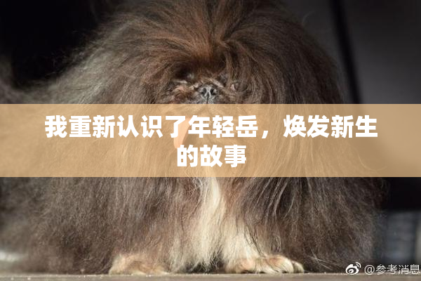 我重新认识了年轻岳，焕发新生的故事