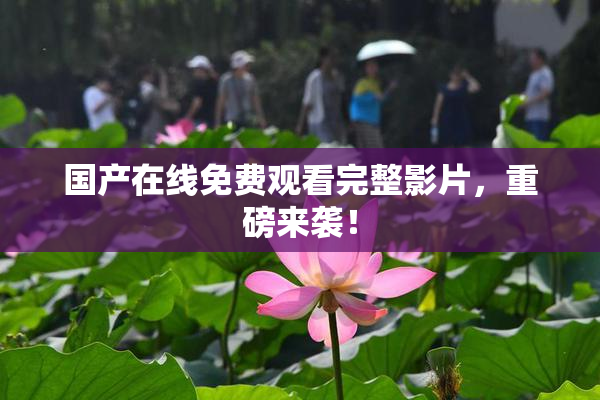 国产在线免费观看完整影片，重磅来袭！