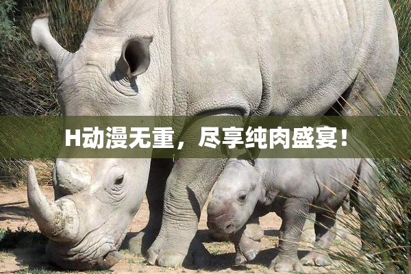 H动漫无重，尽享纯肉盛宴！
