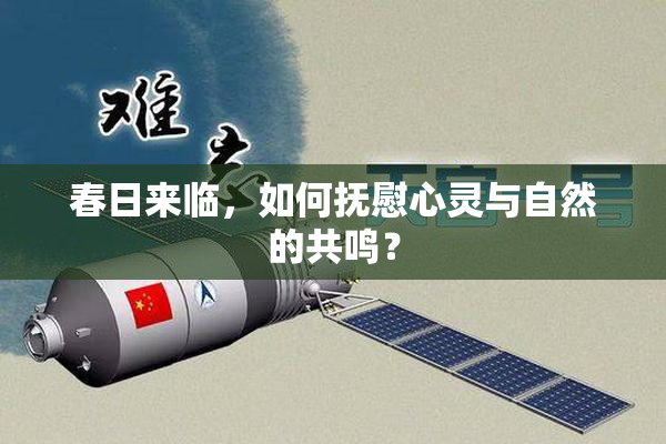 春日来临，如何抚慰心灵与自然的共鸣？