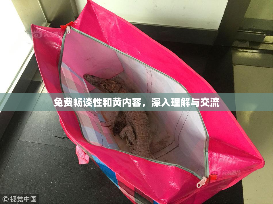 免费畅谈性和黄内容，深入理解与交流