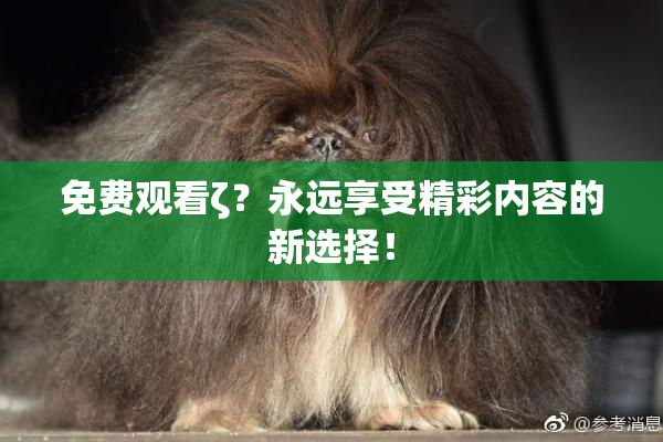免费观看ζ？永远享受精彩内容的新选择！
