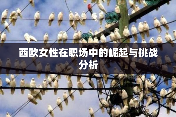 西欧女性在职场中的崛起与挑战分析