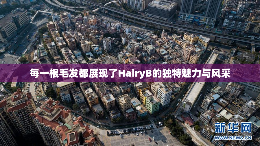 每一根毛发都展现了HairyB的独特魅力与风采