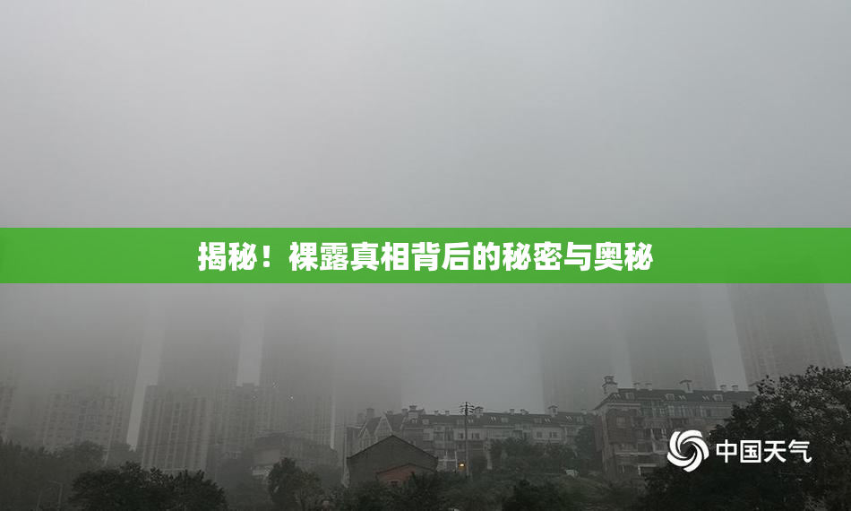 揭秘！裸露真相背后的秘密与奥秘