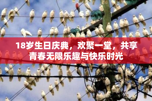 18岁生日庆典，欢聚一堂，共享青春无限乐趣与快乐时光