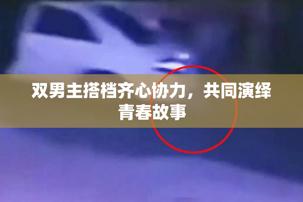 双男主搭档齐心协力，共同演绎青春故事