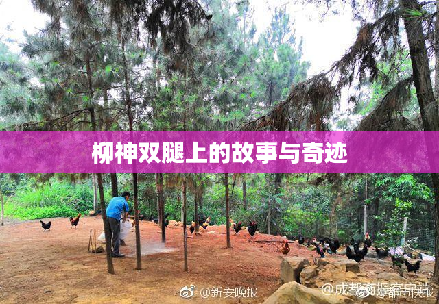 柳神双腿上的故事与奇迹