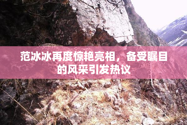 范冰冰再度惊艳亮相，备受瞩目的风采引发热议