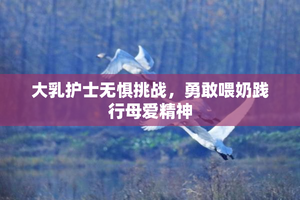 大乳护士无惧挑战，勇敢喂奶践行母爱精神
