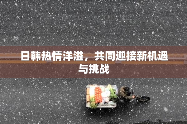 日韩热情洋溢，共同迎接新机遇与挑战