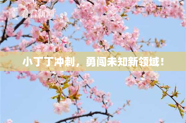 小丁丁冲刺，勇闯未知新领域！