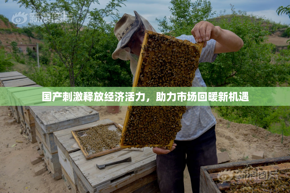 国产刺激释放经济活力，助力市场回暖新机遇