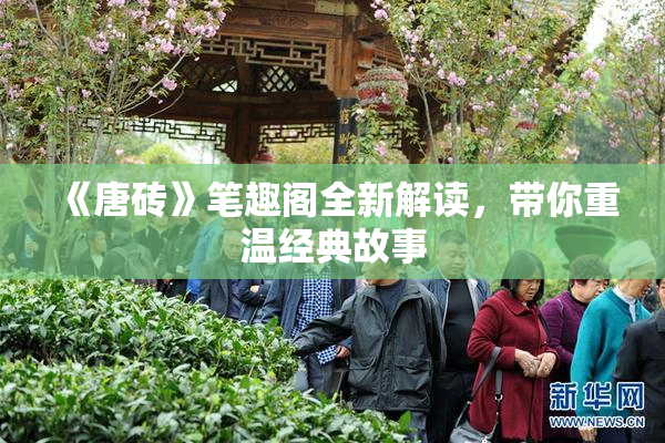 《唐砖》笔趣阁全新解读，带你重温经典故事