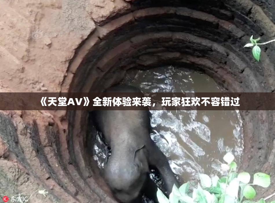 《天堂A∨》全新体验来袭，玩家狂欢不容错过
