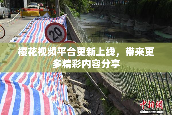 樱花视频平台更新上线，带来更多精彩内容分享