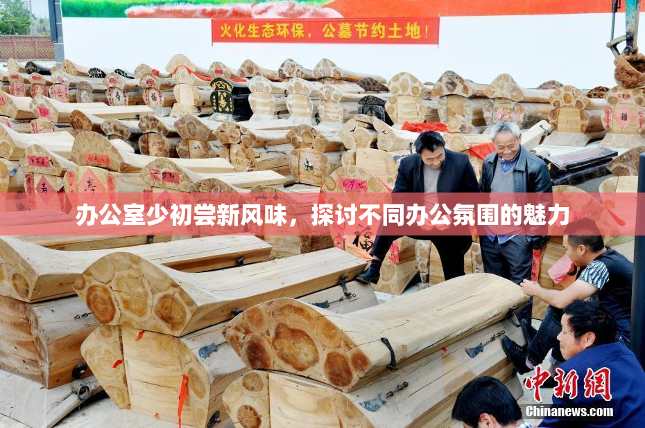 办公室少初尝新风味，探讨不同办公氛围的魅力