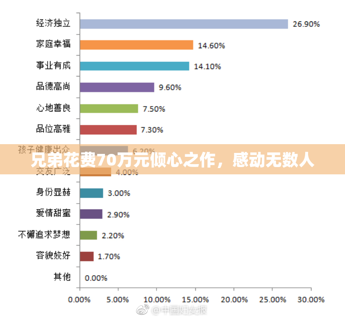 兄弟花费70万元倾心之作，感动无数人