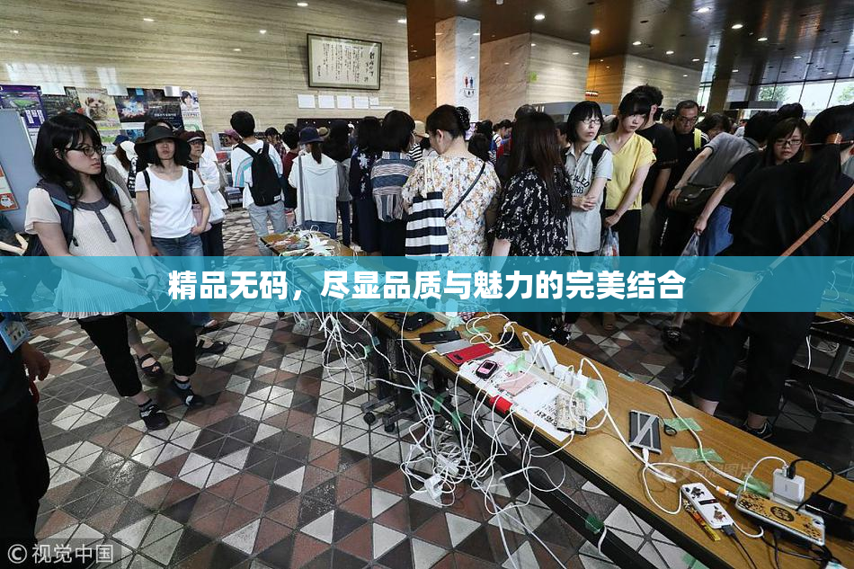 精品无码，尽显品质与魅力的完美结合