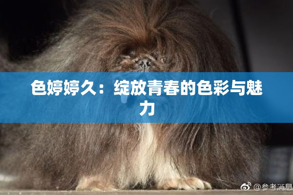 色婷婷久：绽放青春的色彩与魅力