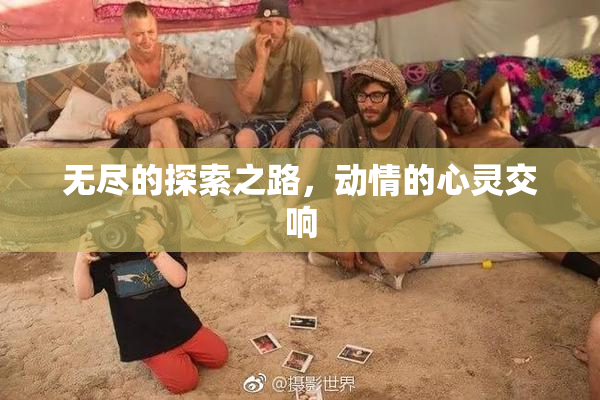 无尽的探索之路，动情的心灵交响