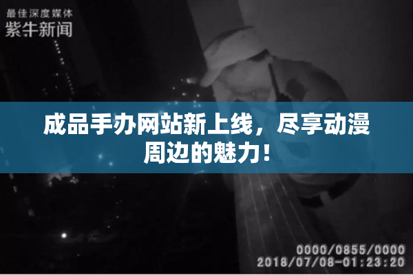 成品手办网站新上线，尽享动漫周边的魅力！