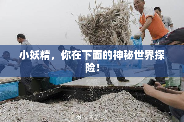 小妖精，你在下面的神秘世界探险！