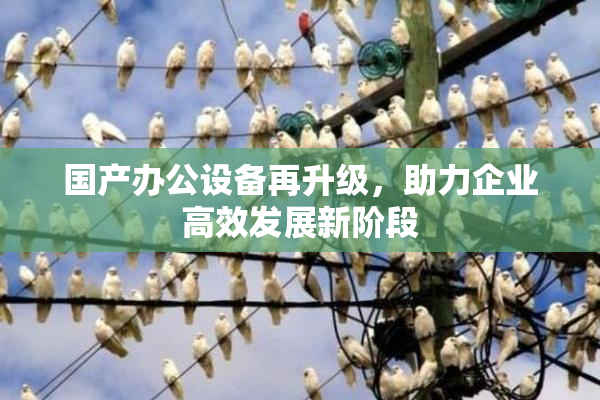 国产办公设备再升级，助力企业高效发展新阶段