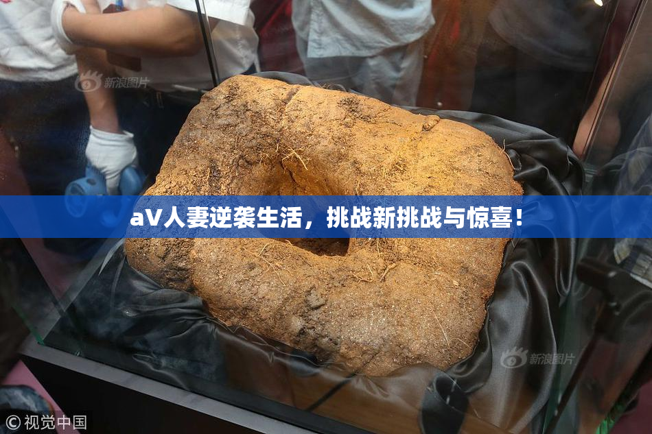 aV人妻逆袭生活，挑战新挑战与惊喜！