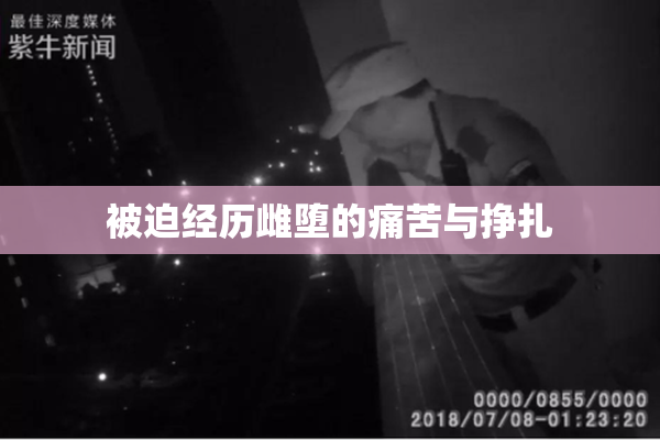 被迫经历雌堕的痛苦与挣扎