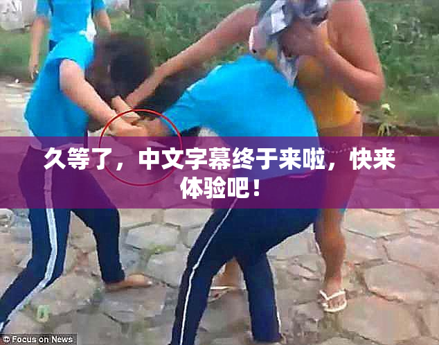 久等了，中文字幕终于来啦，快来体验吧！