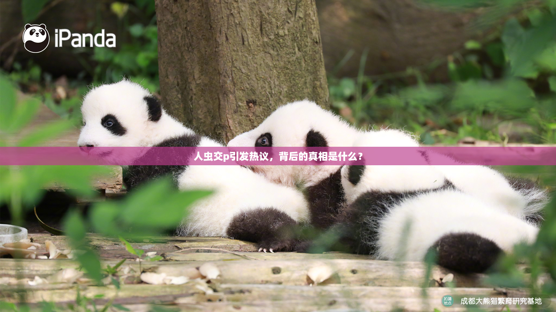 人虫交p引发热议，背后的真相是什么？