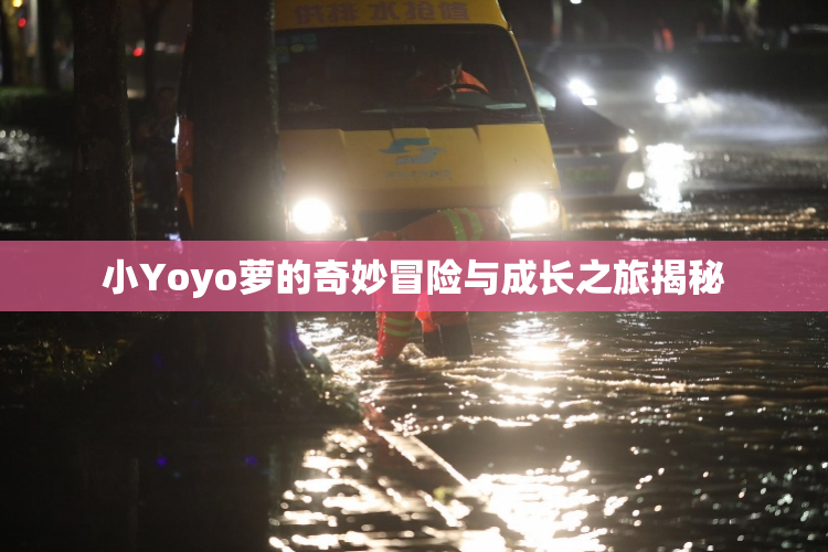 小Yoyo萝的奇妙冒险与成长之旅揭秘